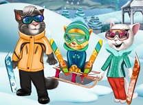 Pisici Distractia de Iarna