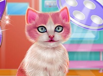 Pisicuta Ingrijiri Dentare