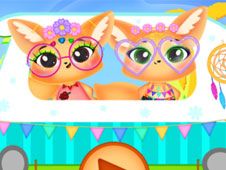 Provocarea Twinchella