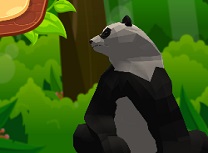 Simulator Panda